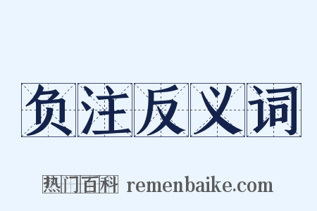 负注反义词是什么意思的图片
